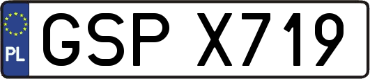 GSPX719