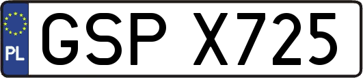 GSPX725