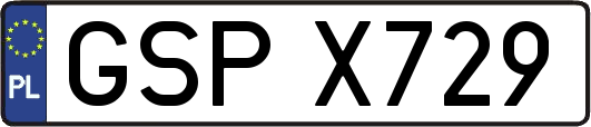 GSPX729