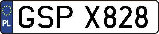 GSPX828
