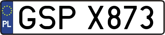 GSPX873