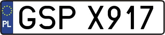 GSPX917