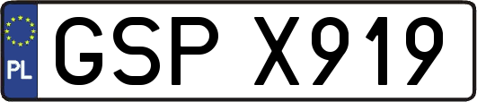 GSPX919