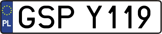 GSPY119