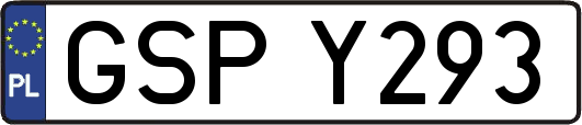 GSPY293