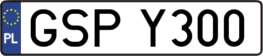 GSPY300