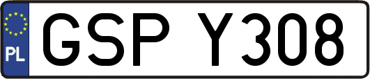 GSPY308