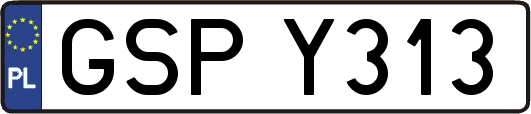 GSPY313