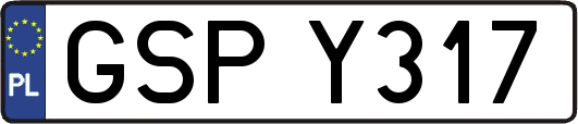GSPY317