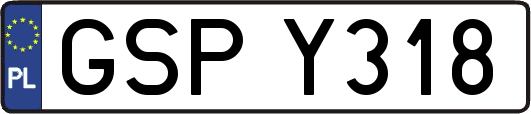 GSPY318