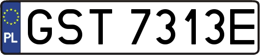 GST7313E