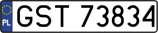 GST73834