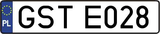 GSTE028