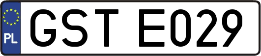 GSTE029