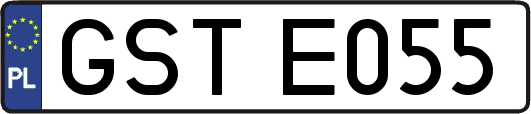 GSTE055