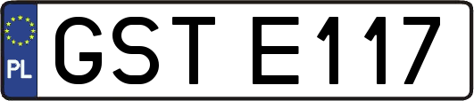 GSTE117