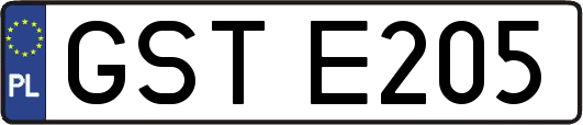 GSTE205