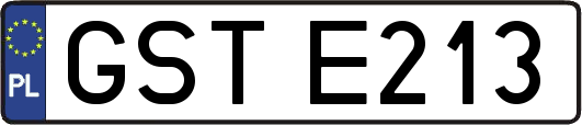 GSTE213