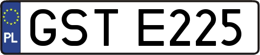 GSTE225