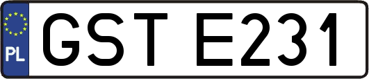 GSTE231
