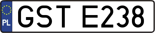 GSTE238