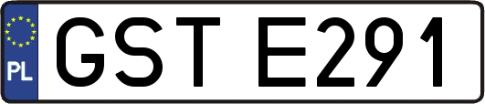 GSTE291