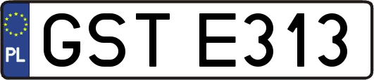 GSTE313
