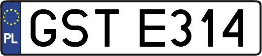 GSTE314