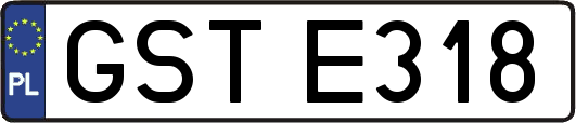 GSTE318