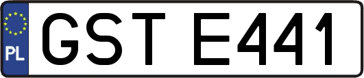 GSTE441