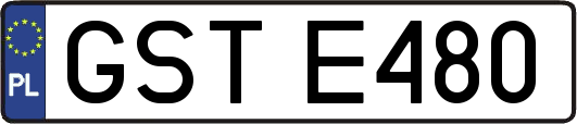 GSTE480