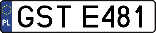 GSTE481
