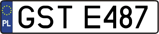 GSTE487