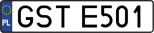 GSTE501