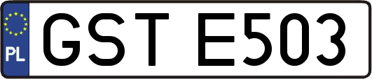 GSTE503