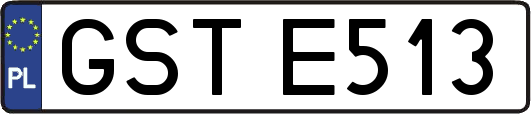 GSTE513