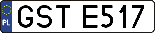 GSTE517