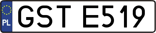 GSTE519