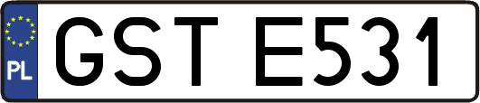GSTE531