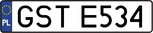 GSTE534