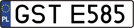 GSTE585