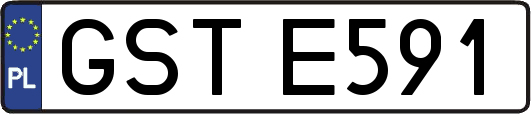 GSTE591