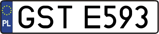 GSTE593