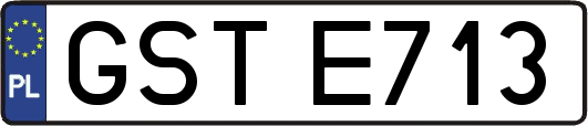 GSTE713