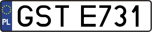 GSTE731