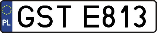 GSTE813