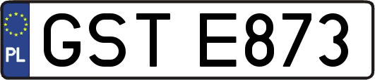 GSTE873