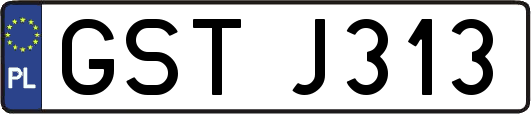 GSTJ313