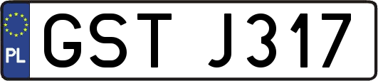 GSTJ317