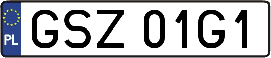GSZ01G1